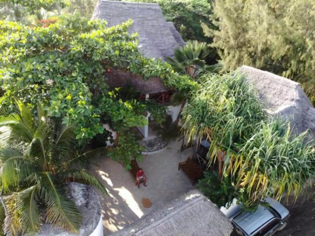 Wonderful Ocean Villa Jambiani  Extérieur photo