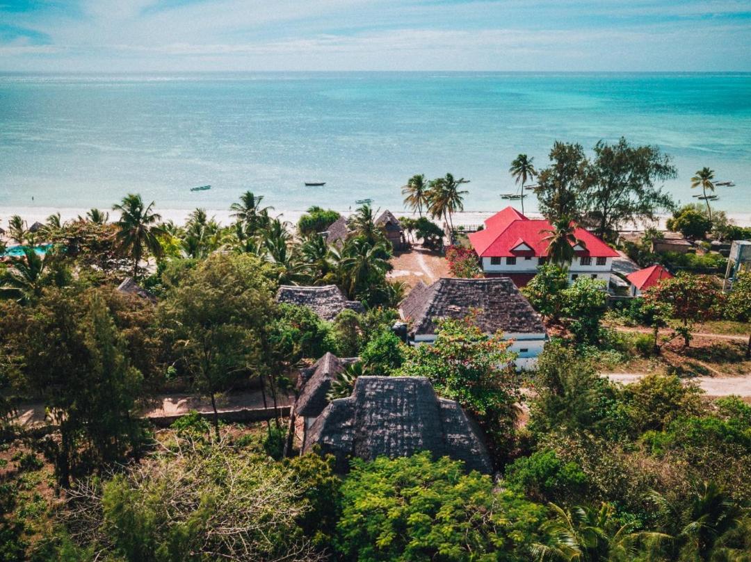 Wonderful Ocean Villa Jambiani  Extérieur photo